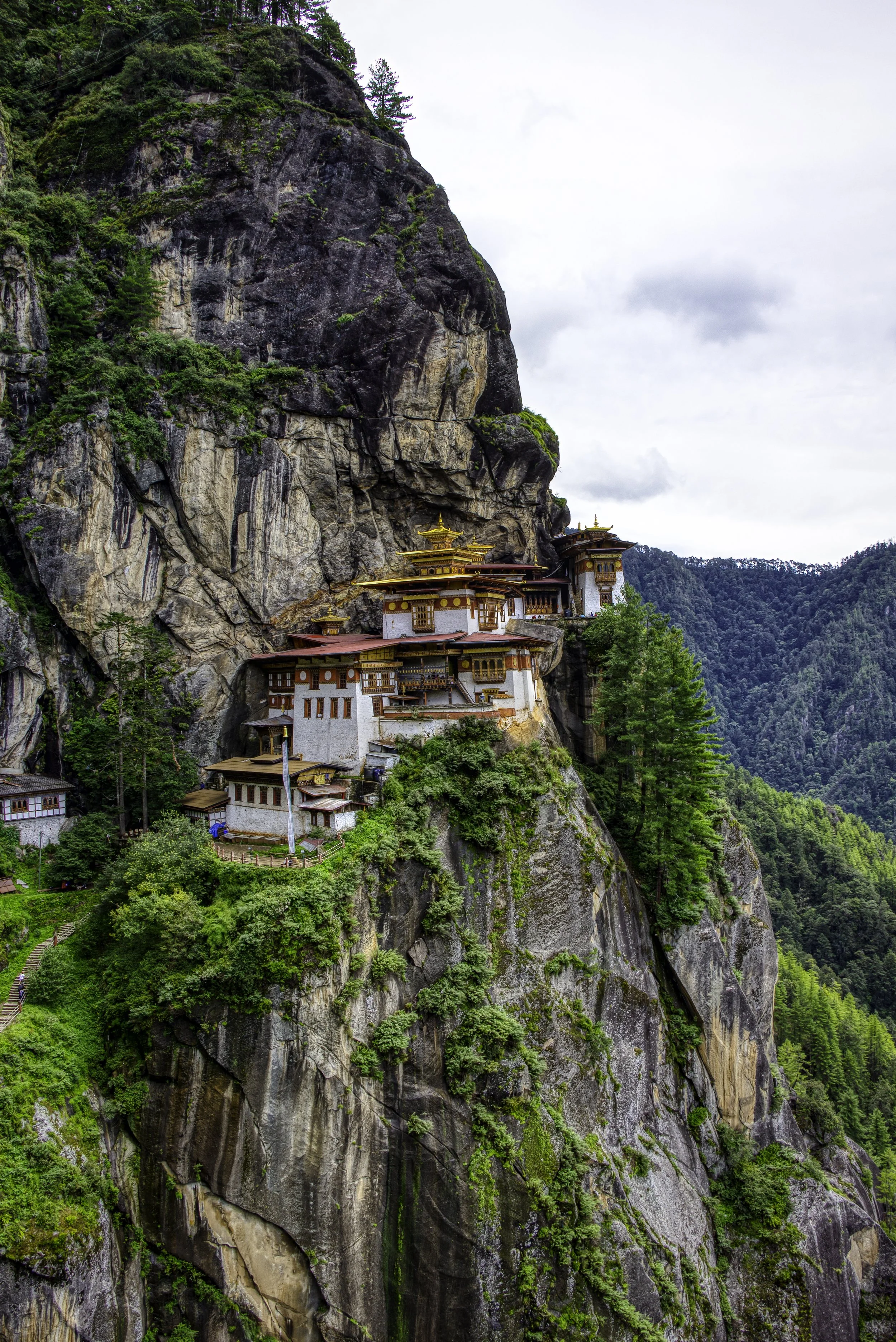 Tigers Nest Overlook.jpg