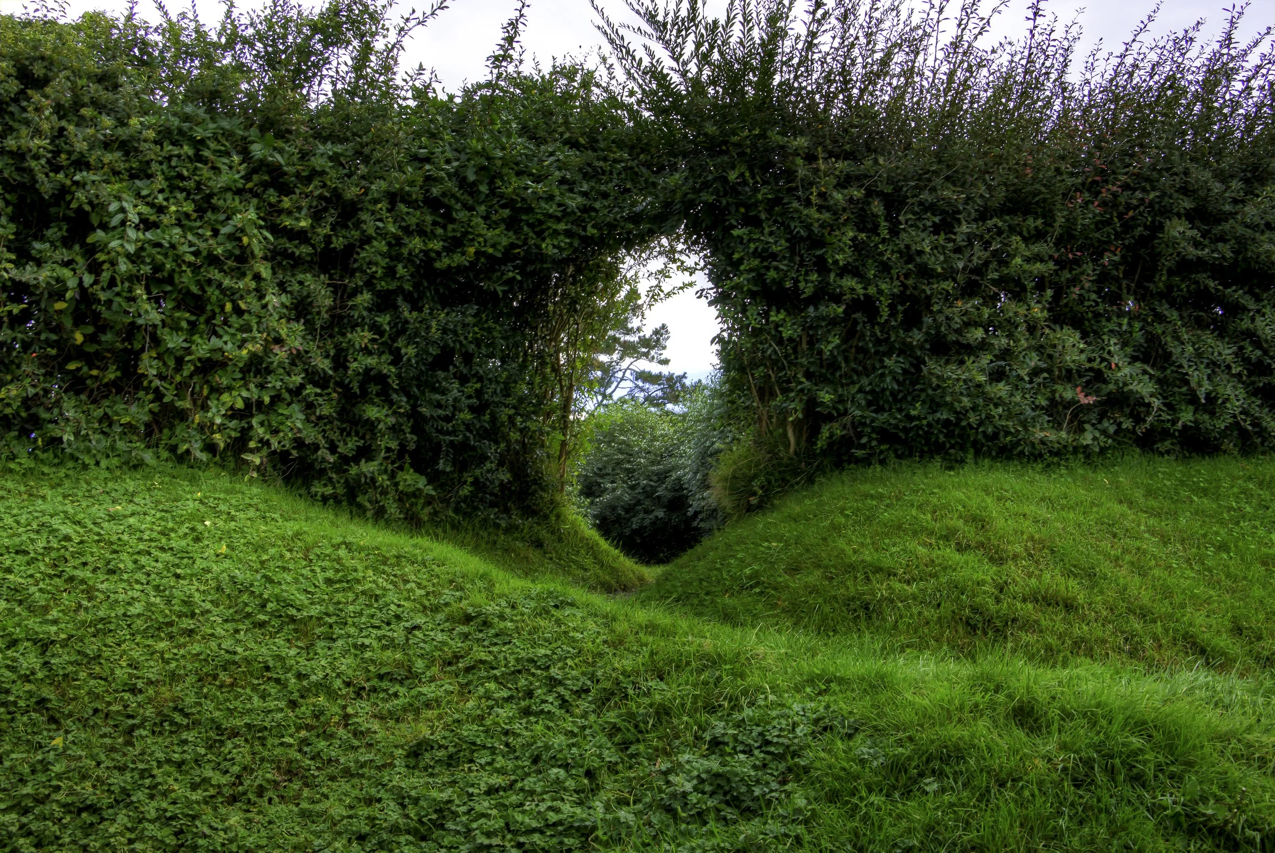 Hobbiton Archway.jpg