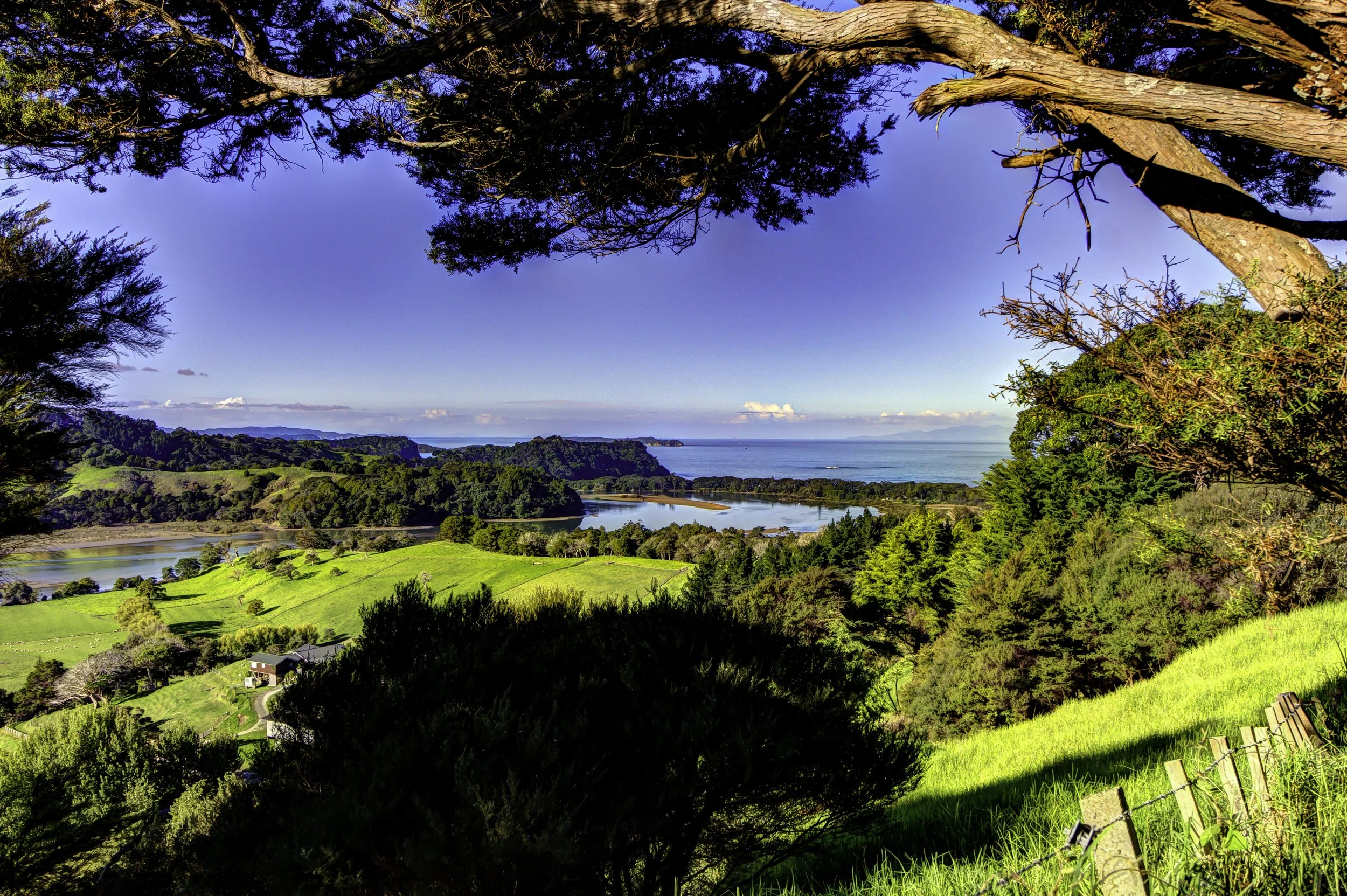 Orewa Beach Overlook.jpg