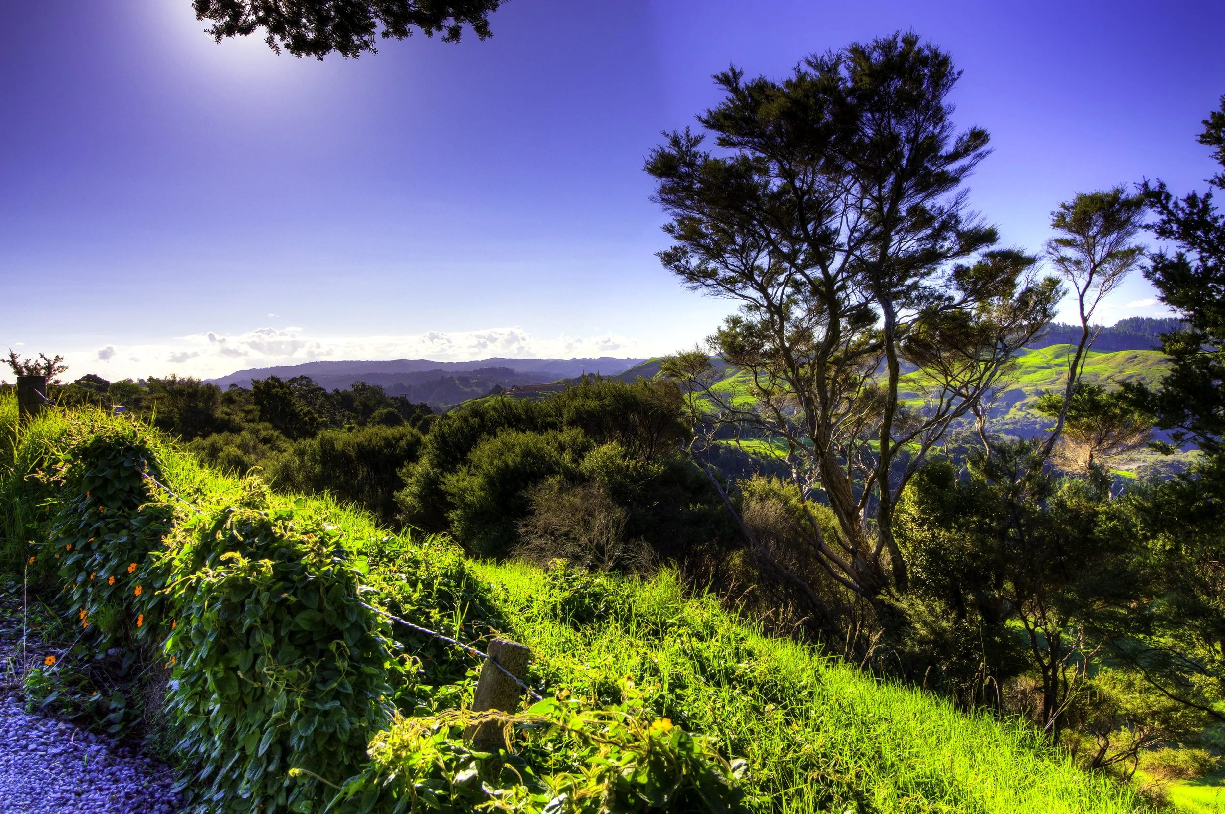 Orewa overlook.jpg