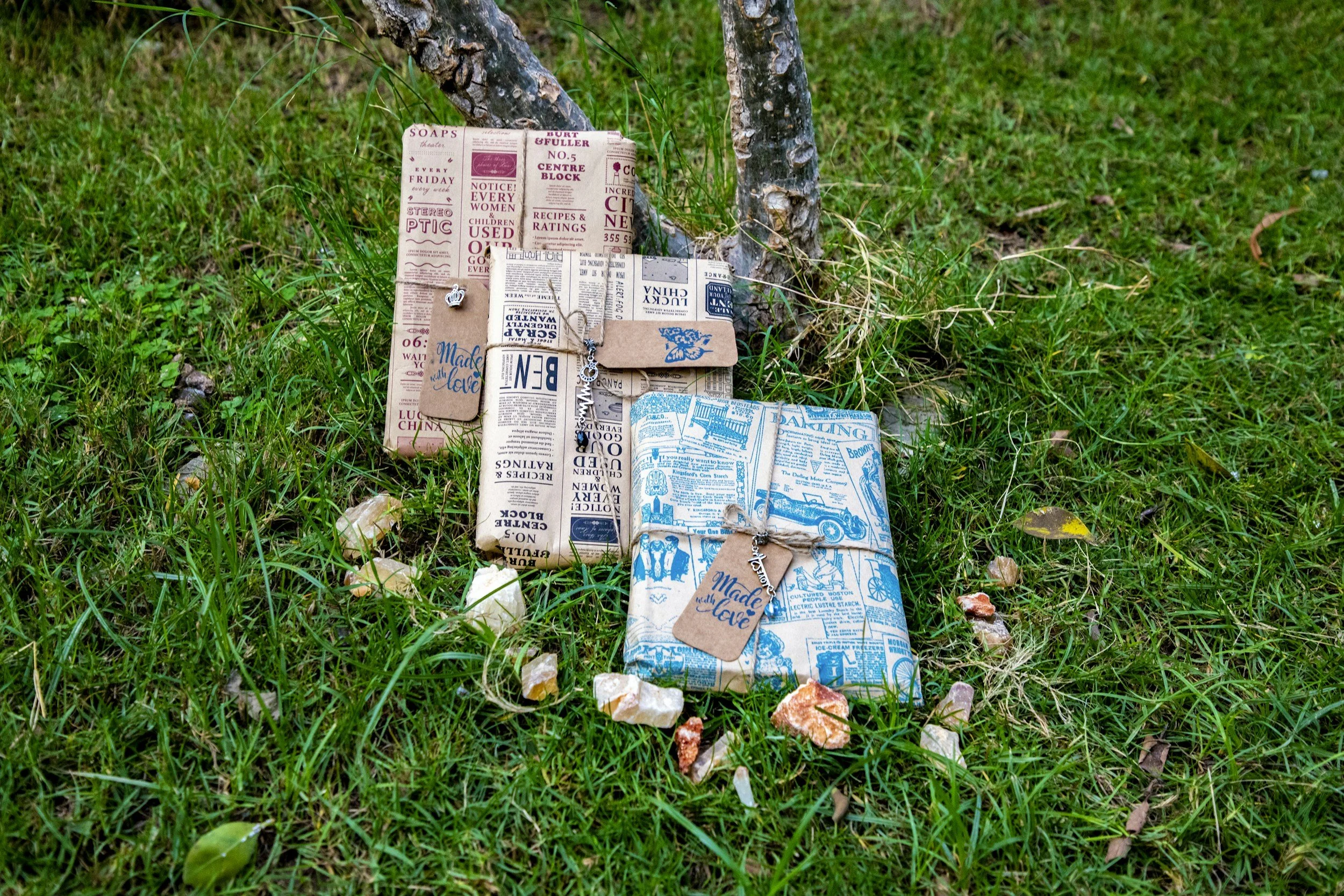 Books That Rewired How I See the Natural World