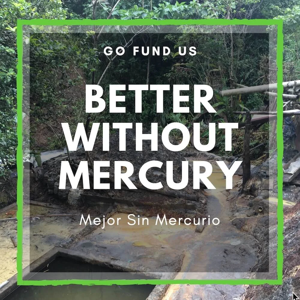 Better-without-mercury.jpg