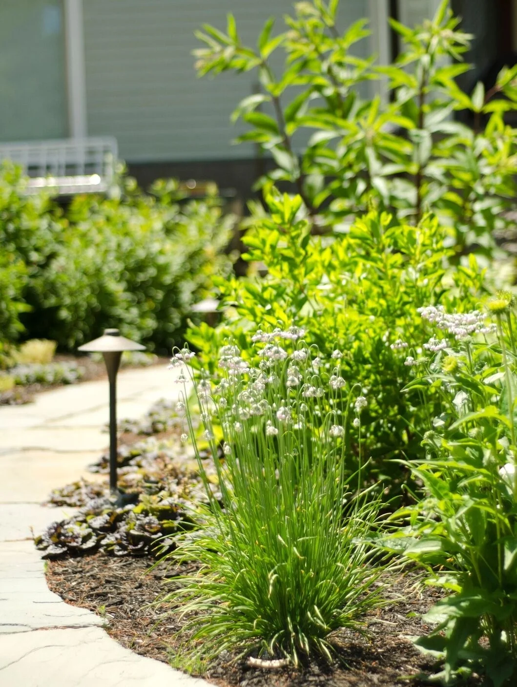 falmouth retreat garden