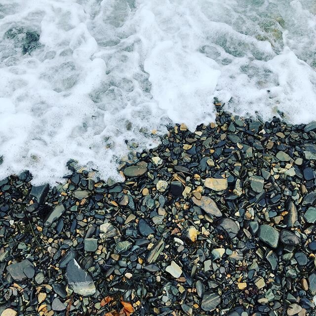 In New England, early March feels like the calm before the frenetic, energetic arrival of spring. It is like the moment the ocean rolls back over the rocks as it builds energy for the next wave to crash. This time reminds us of the permaculture princ