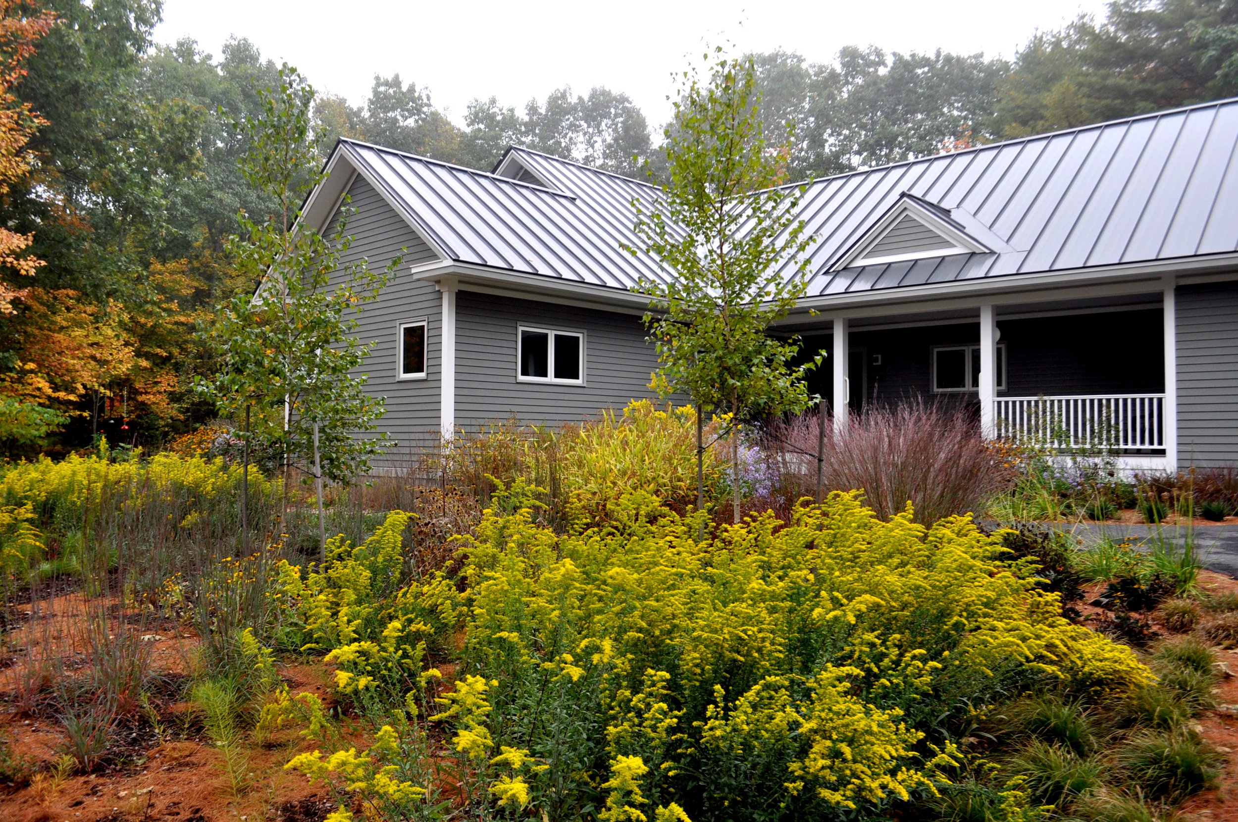 Brunswick Habitat Garden