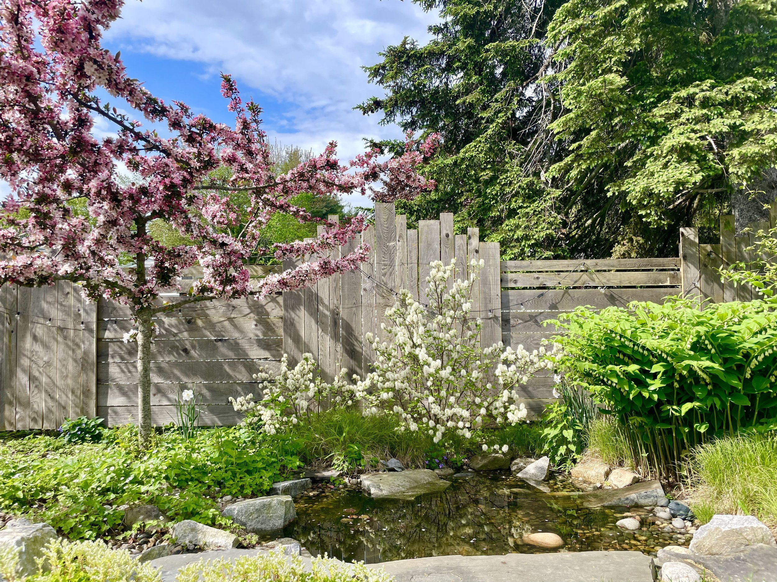 Portland Urban Oasis