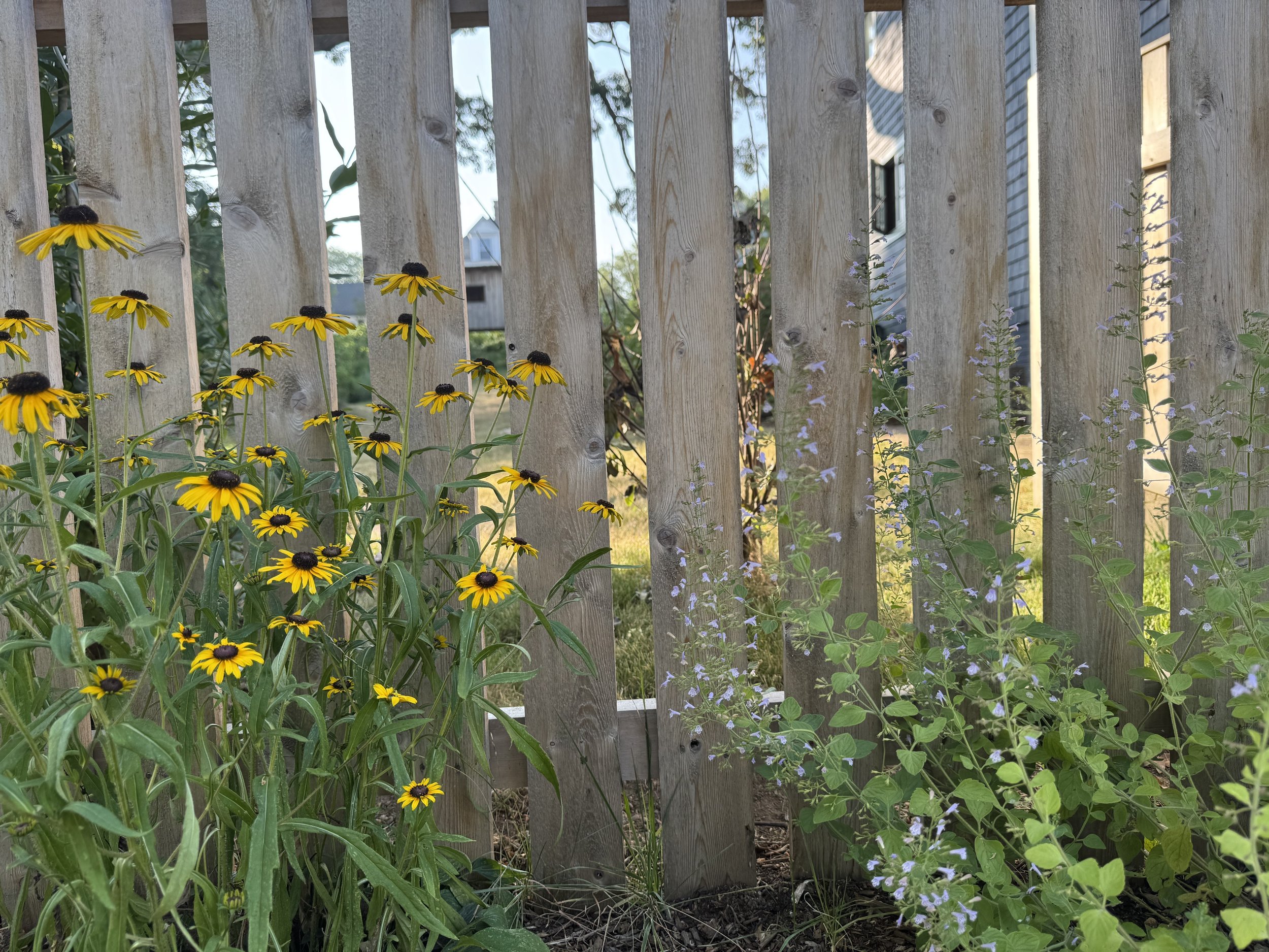 Robbins for Website A.jpeg