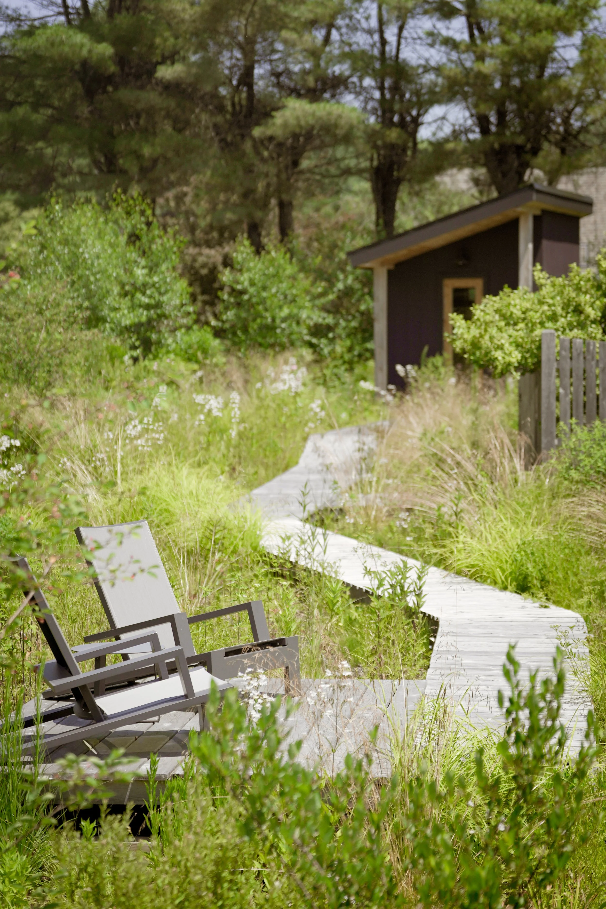 Coastal Wet Meadow