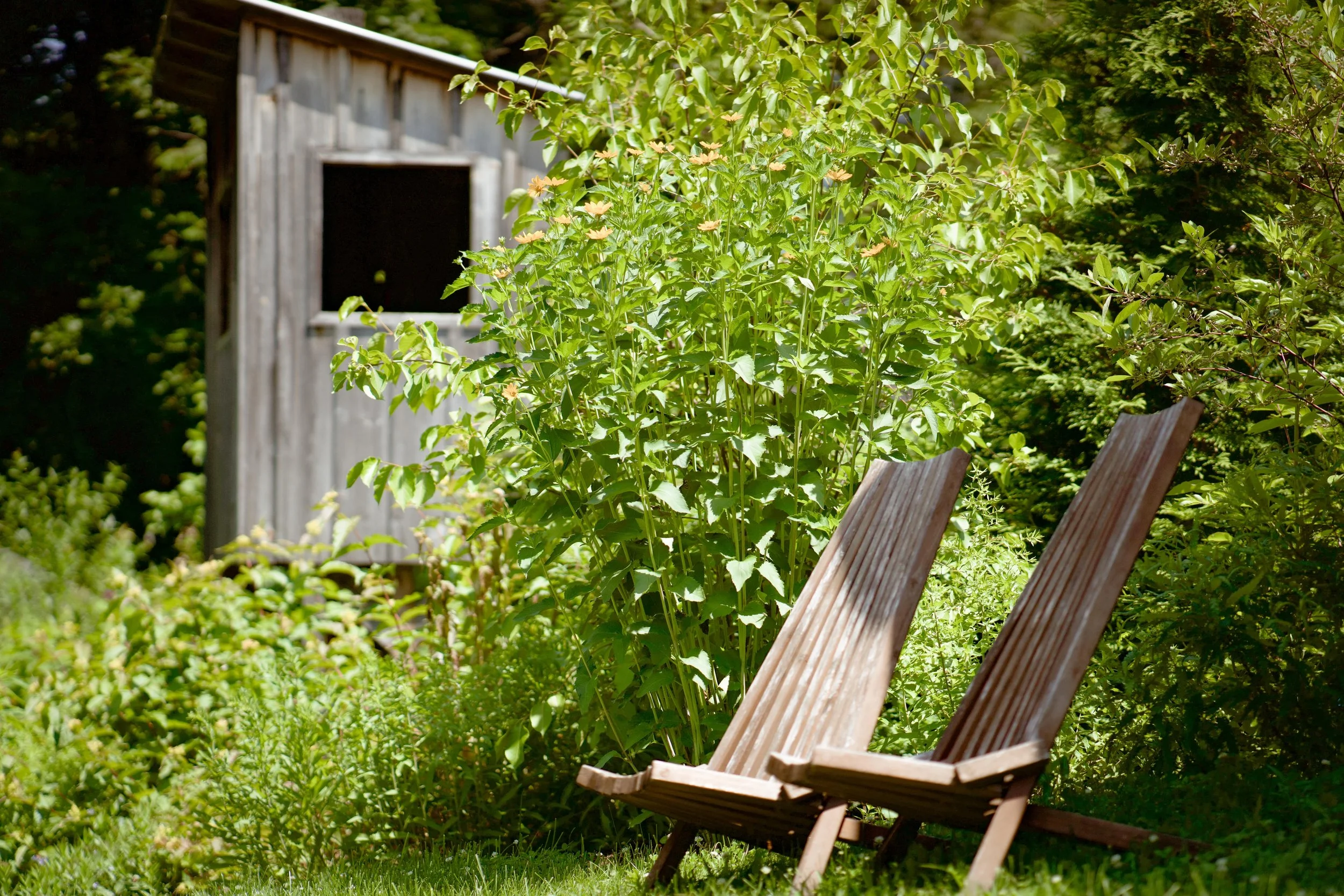 Oakdale Backyard