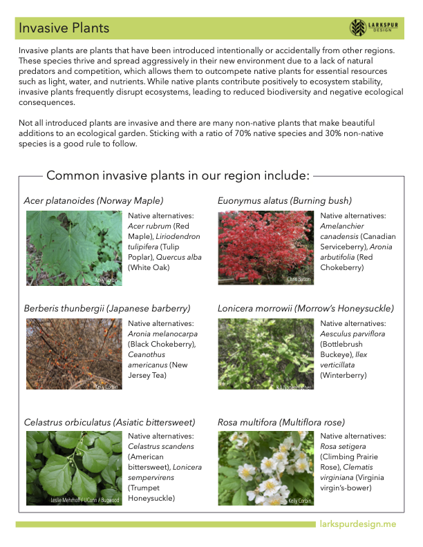 Invasive Plants — Larkspur Design