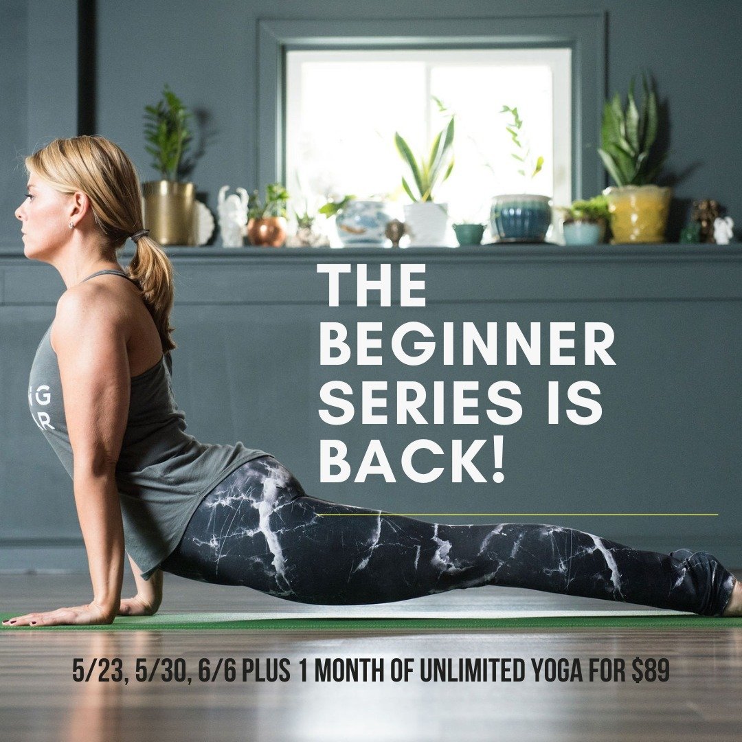 Ready for Yoga, but not sure where or how to start? At Syracuse Yoga we believe Yoga is for everybody and every BODY. Each teacher is here to be your partner on your individual Yoga journey. This 3 week workshop will help you build the foundation of 