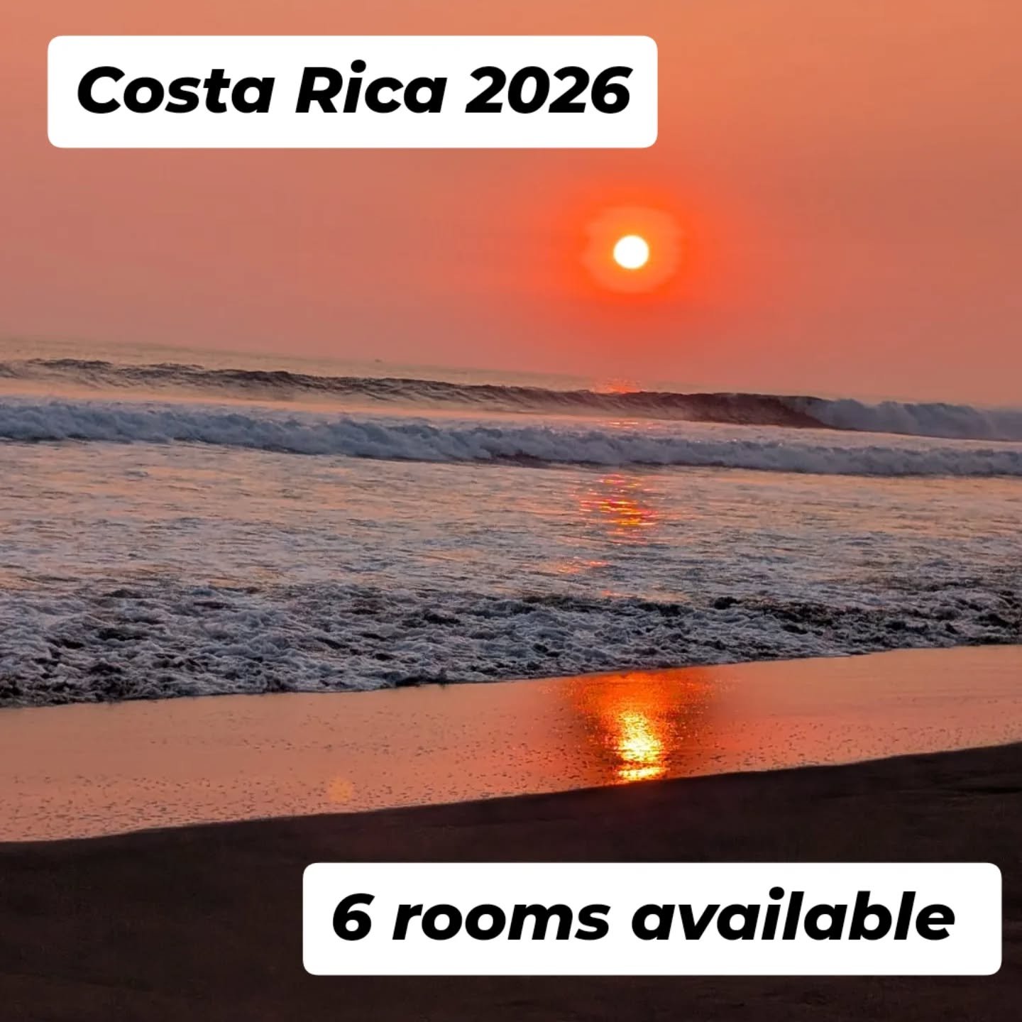 Attention attention!
We only have six rooms available for our trip to Costa Rica March 7th through 14th 2026!
Grab a friend or two and let's make this happen.
We are currently only selling double and triple occupancy rooms.
We do have one fem