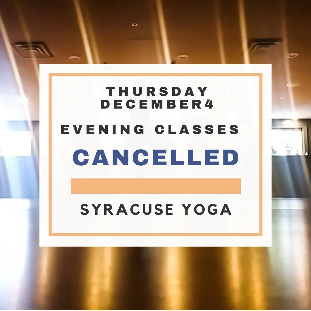 It keeps snowing and snowing and snowing, and the plows are not out. 

Stay safe and cozy and warm tonight, I will miss you all. 

Hopefully we will be back to our normal schedule tomorrow!