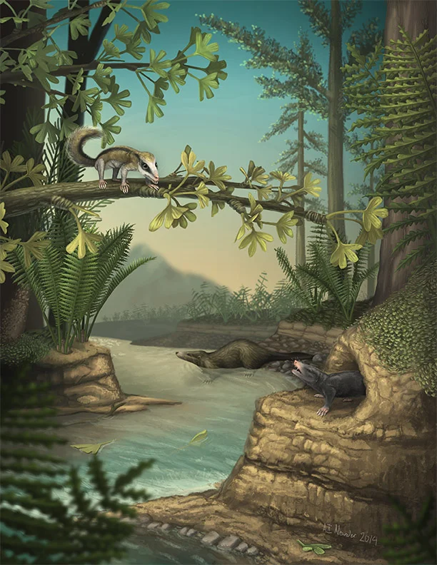 Docodont Scene