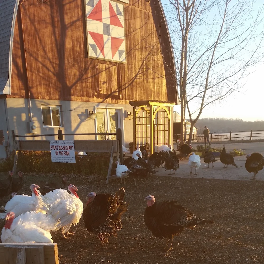 The new barn