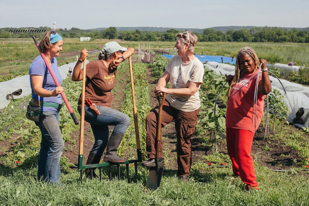 From left to right: Jane Hodge, Lorrie Clevenger, Michaela Hayes, and Karen Washington. Image by Ethan Harrison