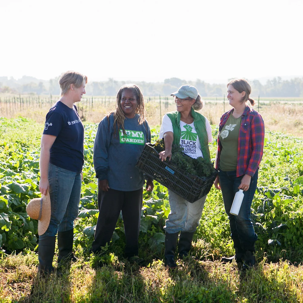From left to right: Michaela Hayes, Karen Washington, Lorrie Clevenger, and Jane Hodge. Image by Ethan Harrison.