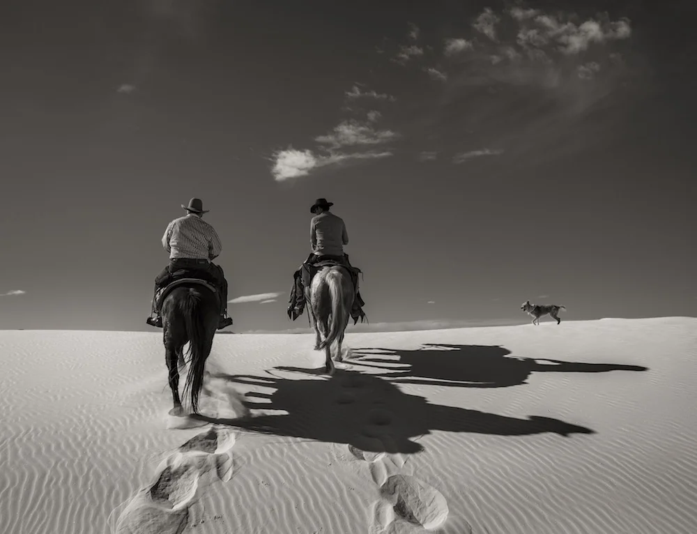 Shadows on the sand .jpg