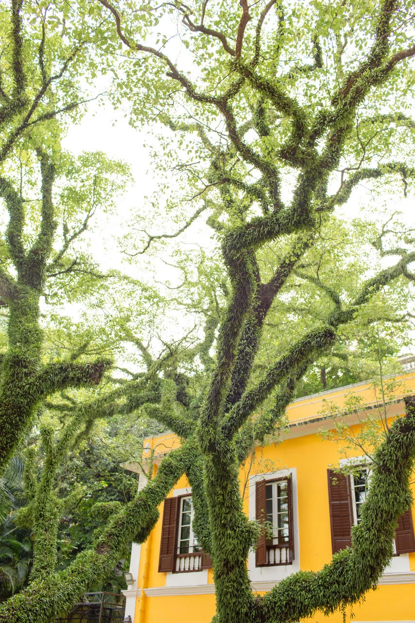 Photo by Emily Nathan