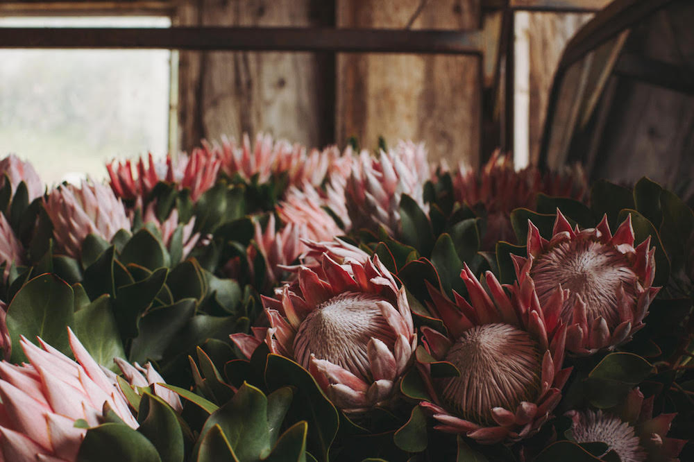 Photo by Emily Nathan