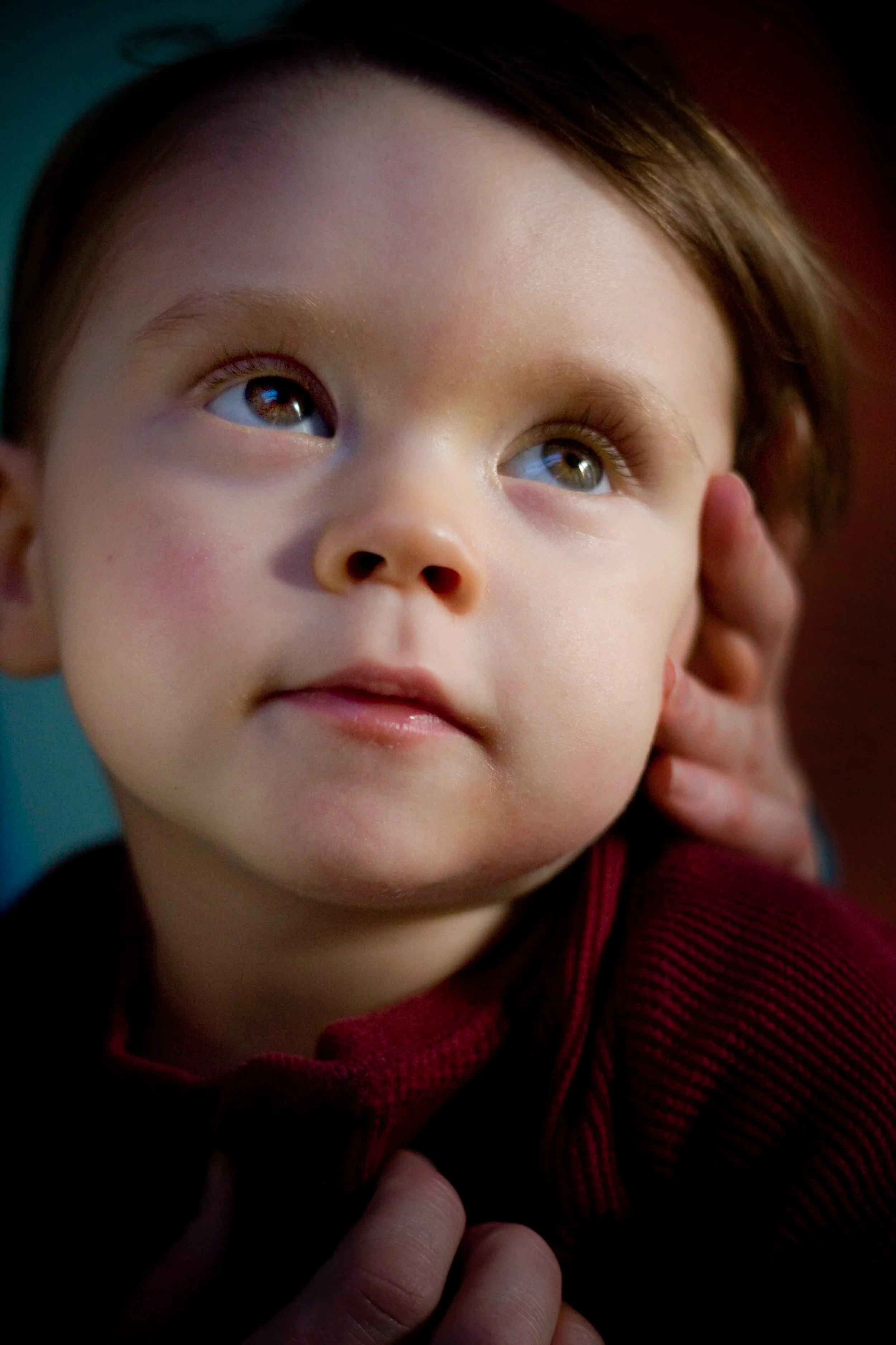 Ronan. Photo by Catherine Davis