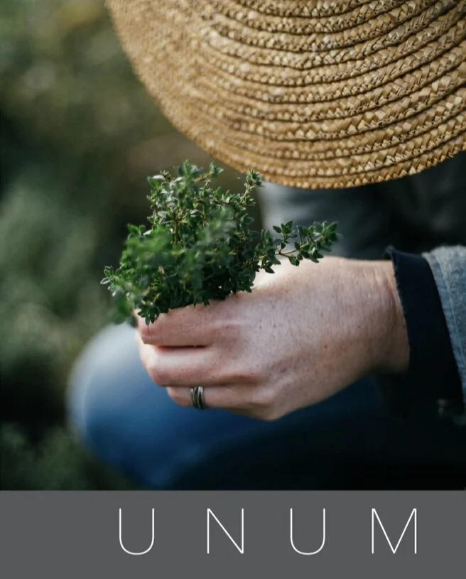 ISSUE III