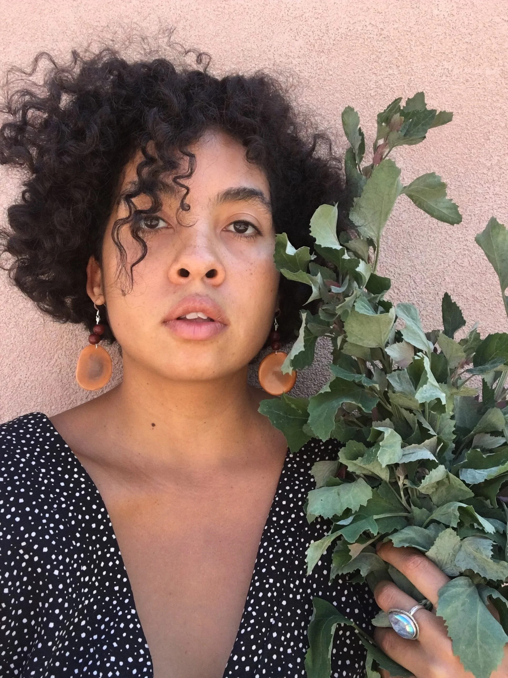 The Fruit of Intuition 