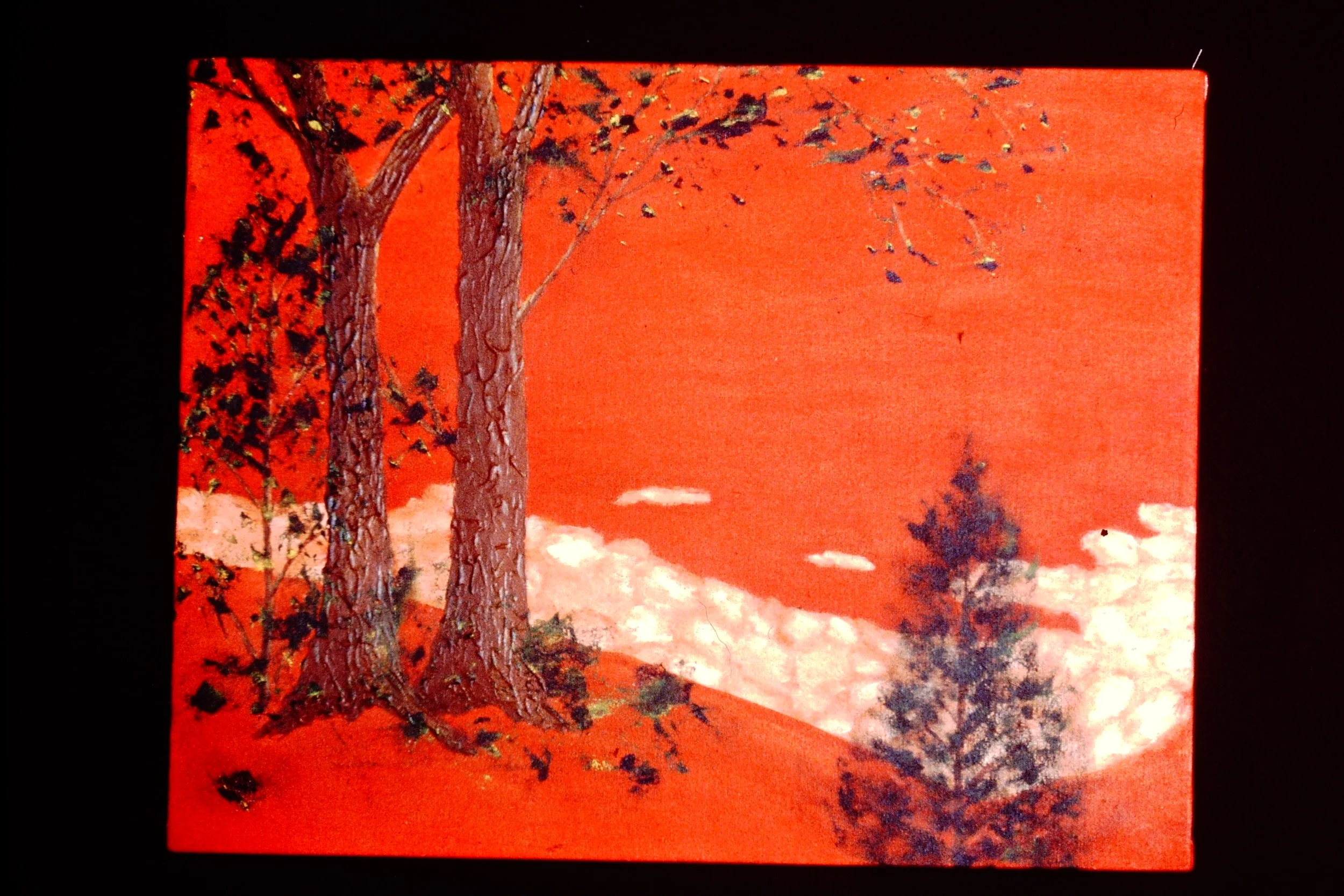 landscape with trees.JPG