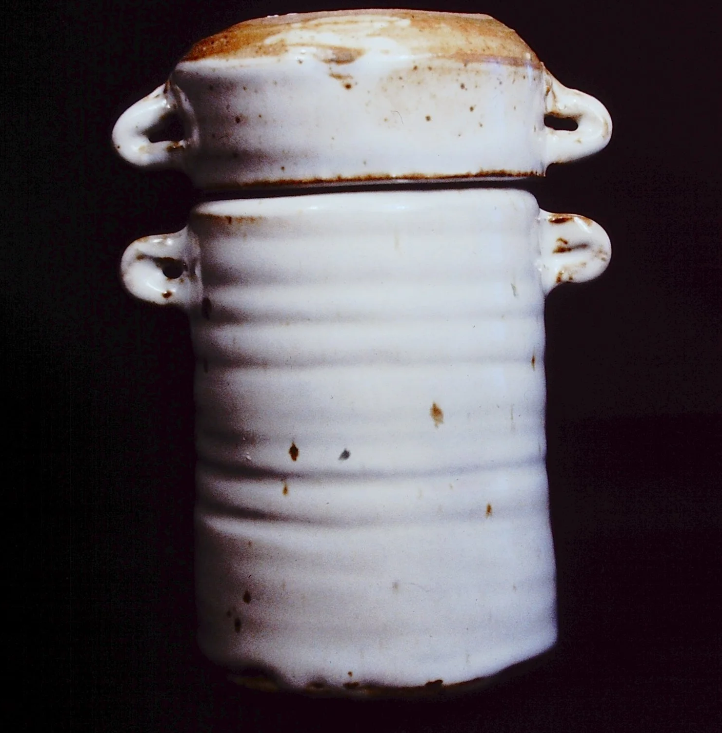 Shino Thermos