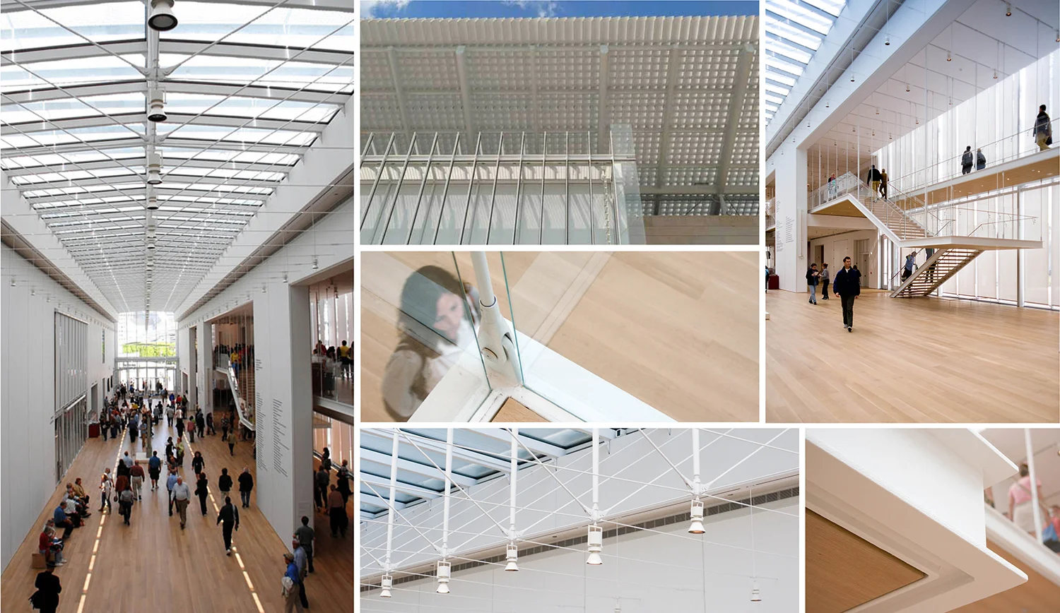 The Environment: The Art Institute of Chicago Griffin Court