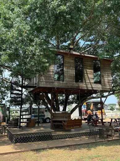 Live at The Treehouse Park