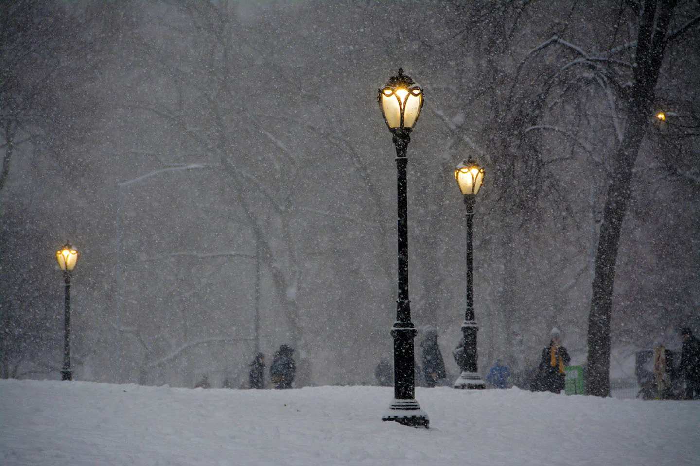 Central Park Snow Storm