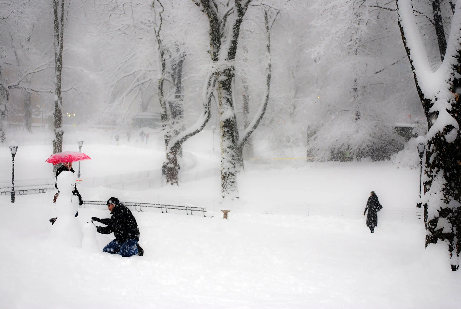 Central Park Snow