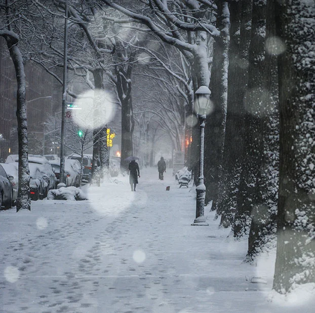 Harlem Snow