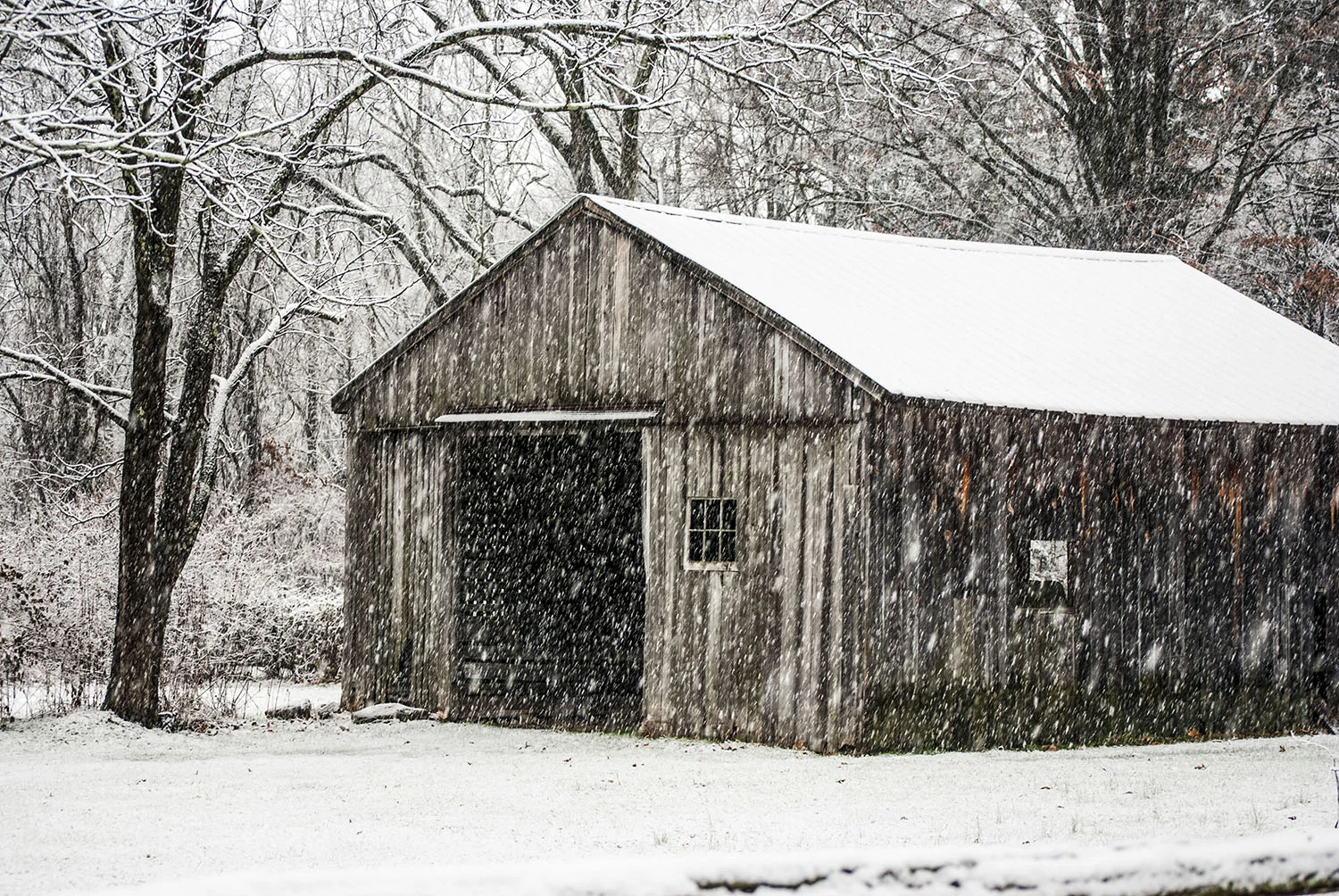 Barn in the snow