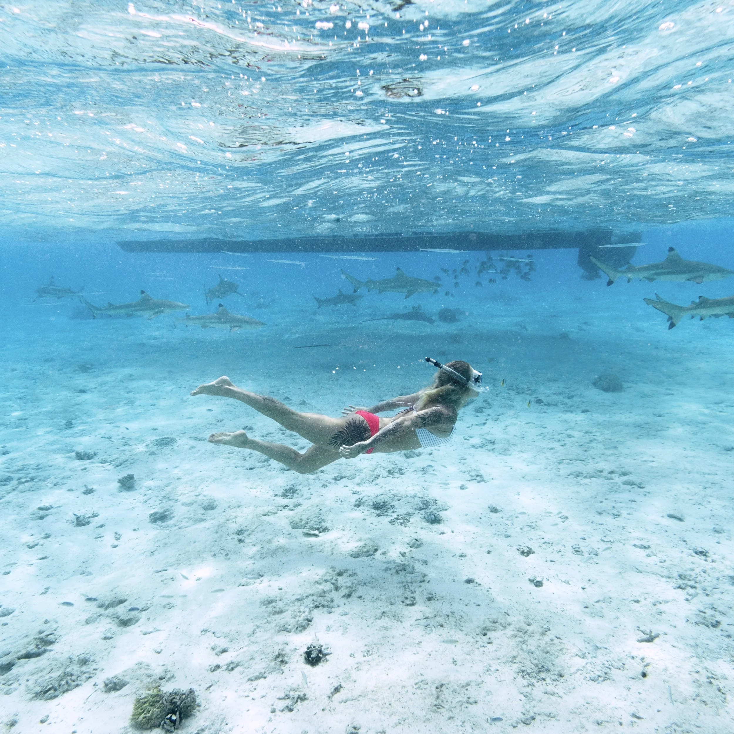 SS-trip-2015.jpg