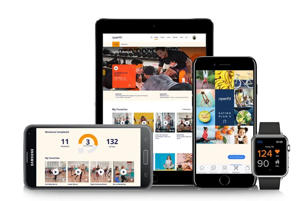 OpenFit System