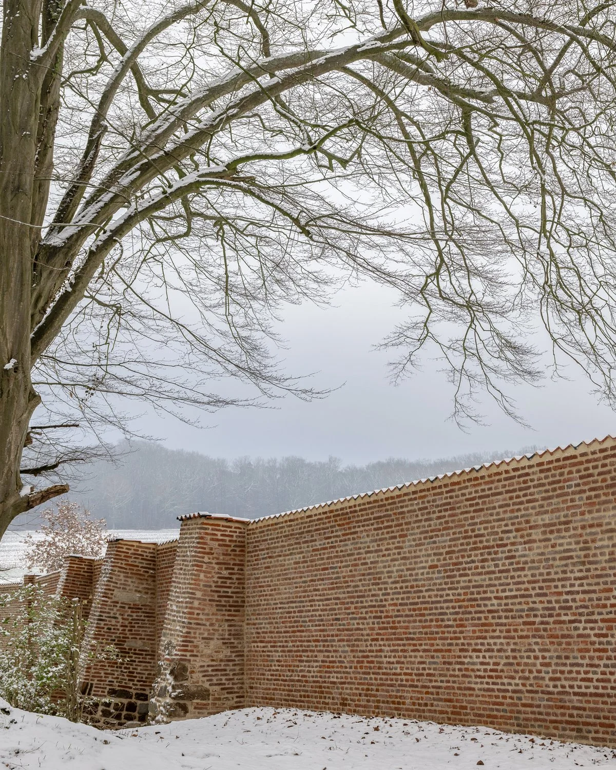 Averbode Wall Snow