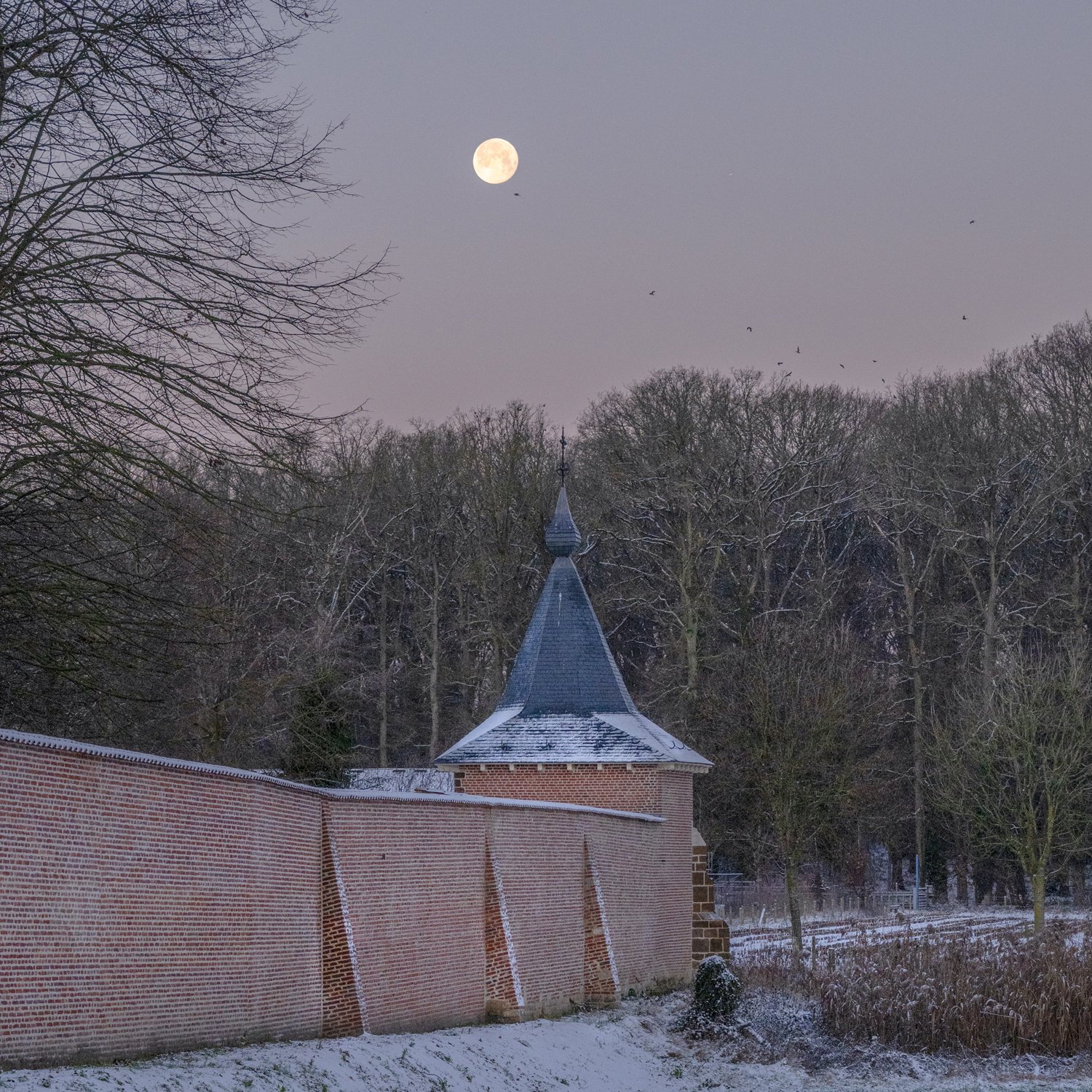 Averbode Wall Moon Winter
