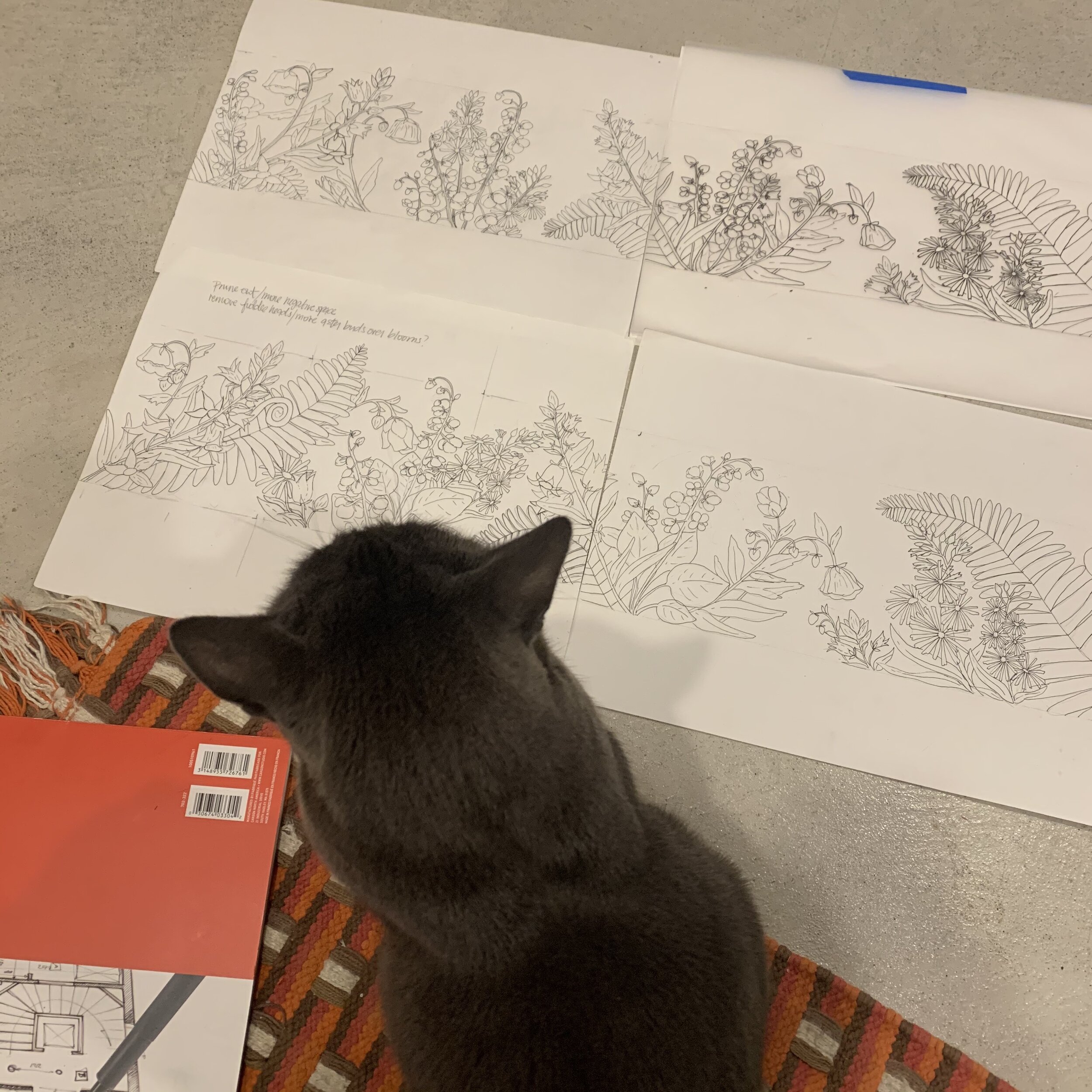  Agatha critiquing my design. 