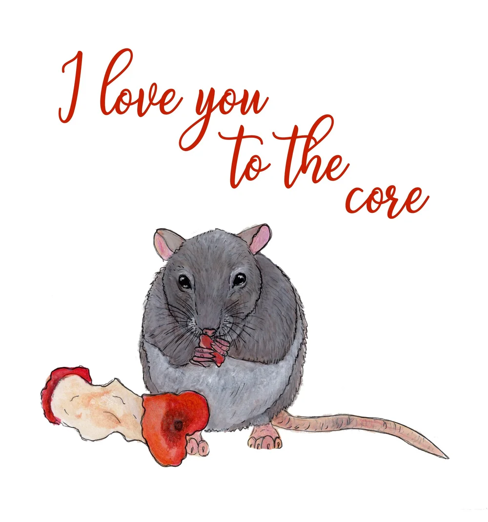 Garbage Animals Cards - Set of 5 — Amanda M Jorgenson Art & Illustration