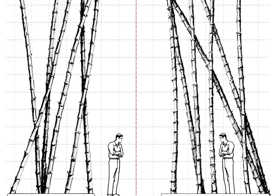 MND_Design-Process-1.jpg