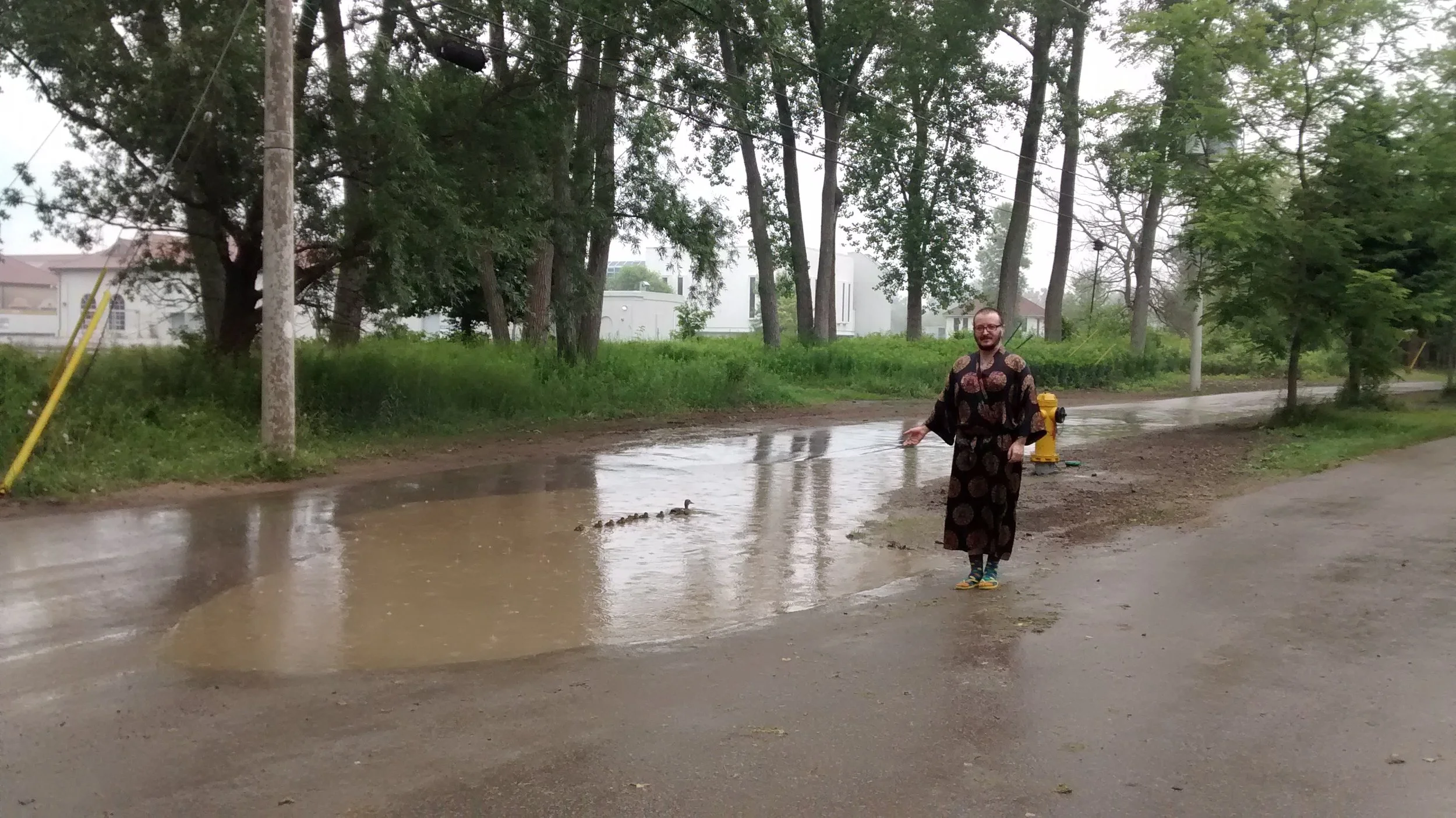 Tobaron with ducks, outside Artscape Gibraltar Point after storms