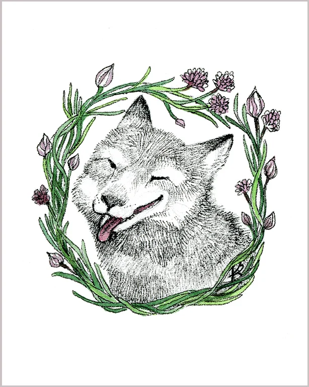 ChiveFox8x10WEB.jpg