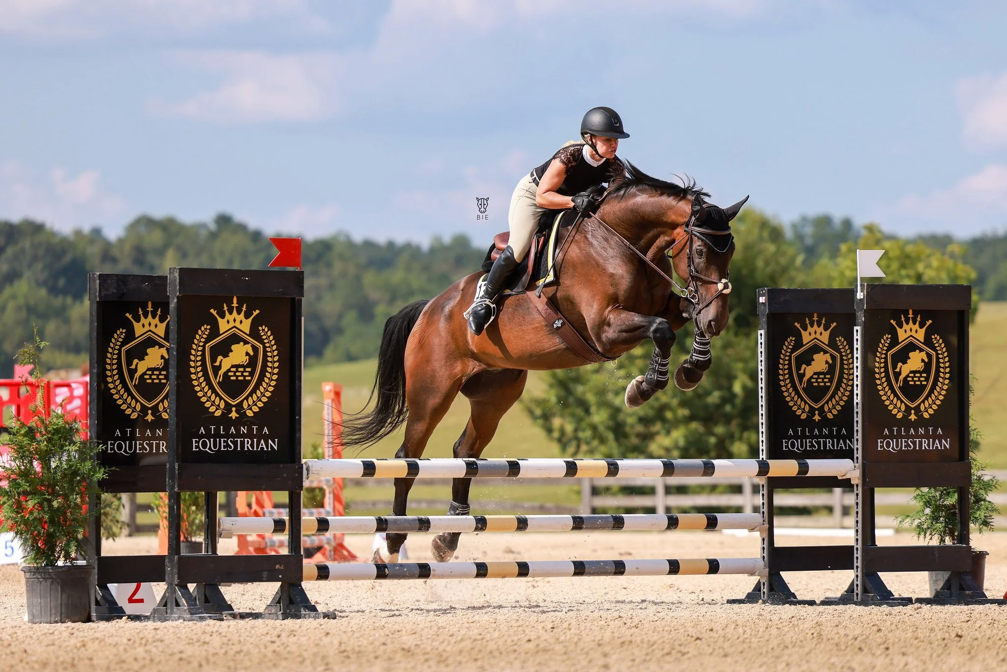 hav sarah 2 - Copy.jpg