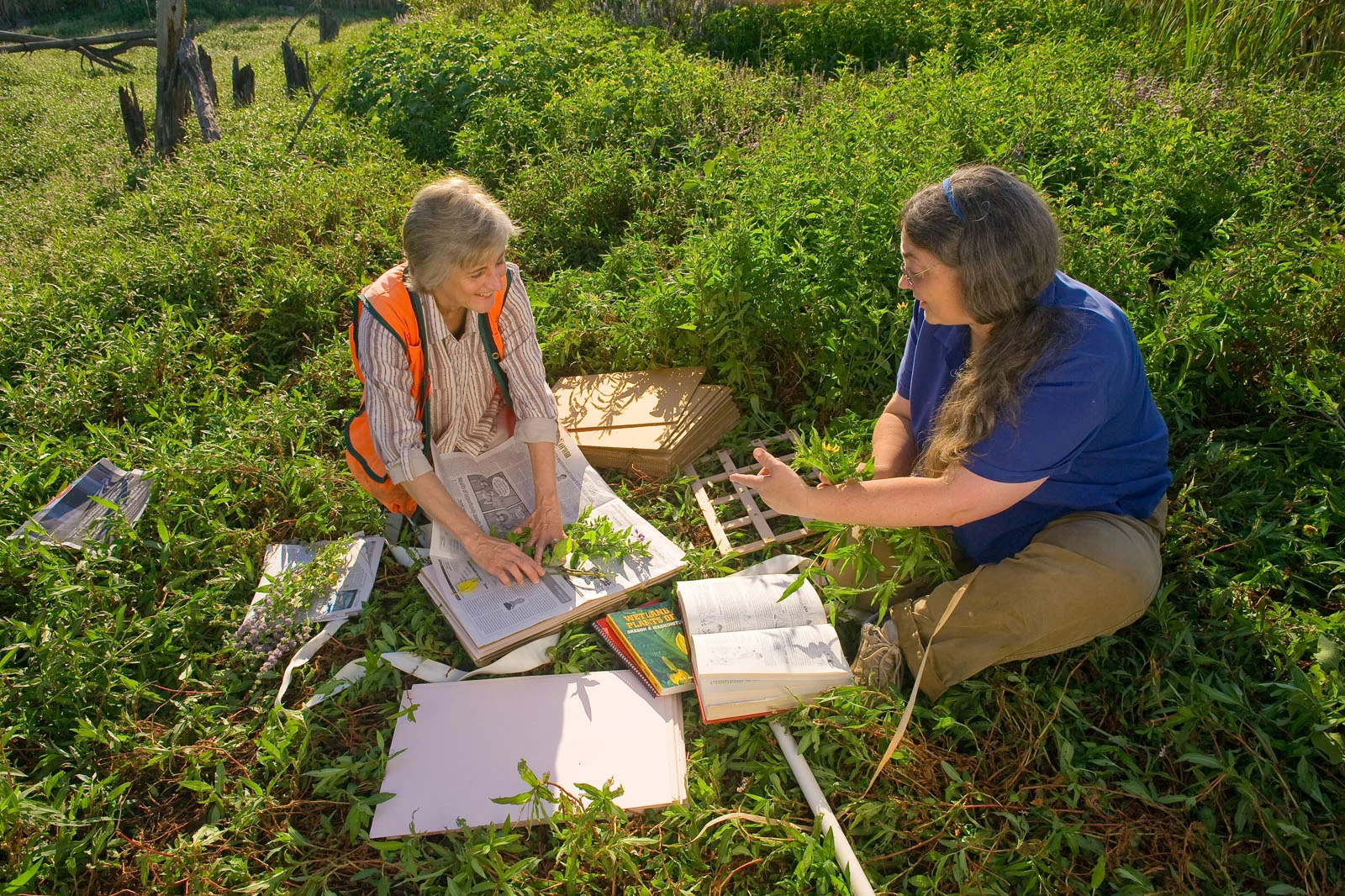 SSWR3 National Wetland Condition Assessment.jpg