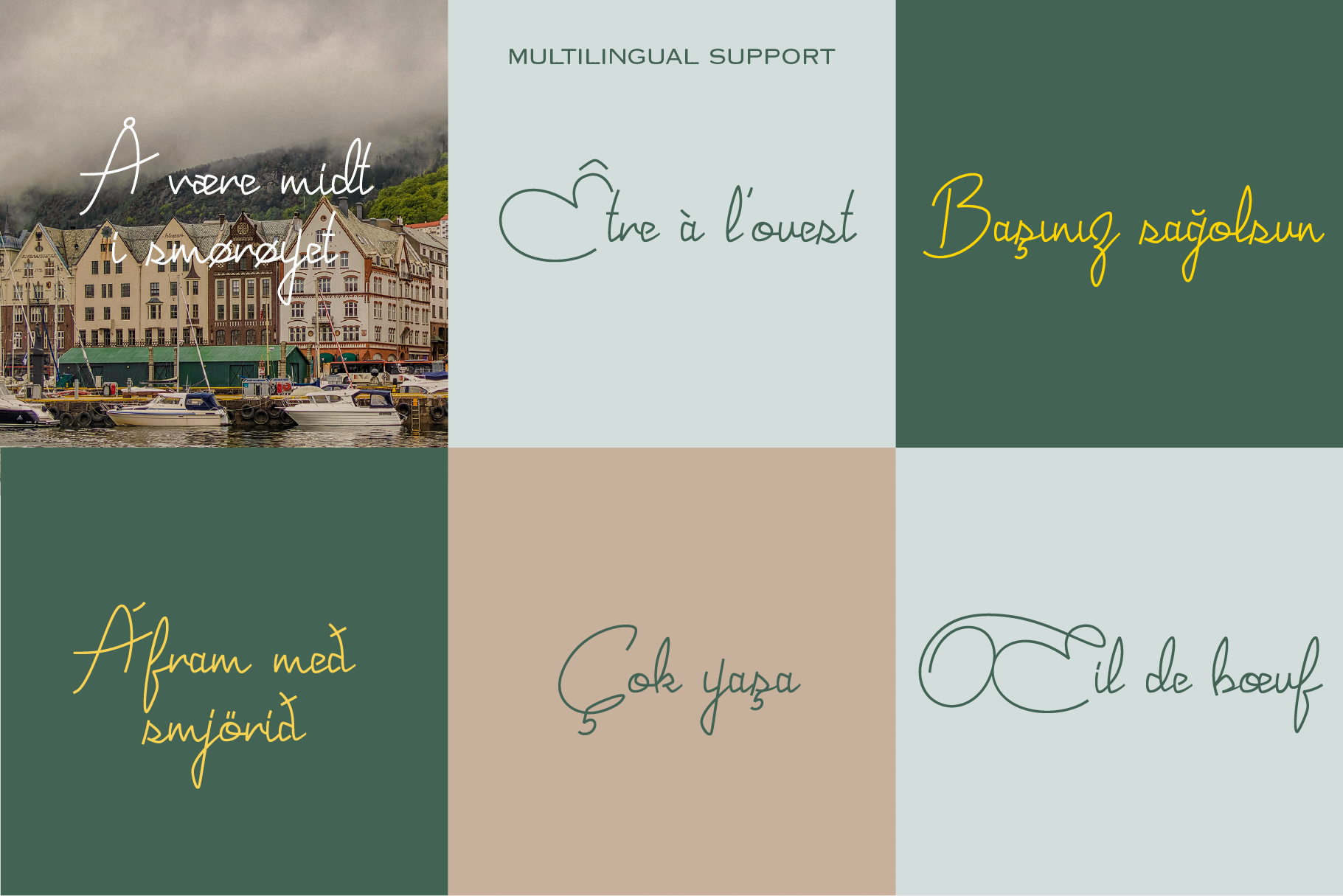 Joyeux Script_Creative Market_1820x1214_07.png