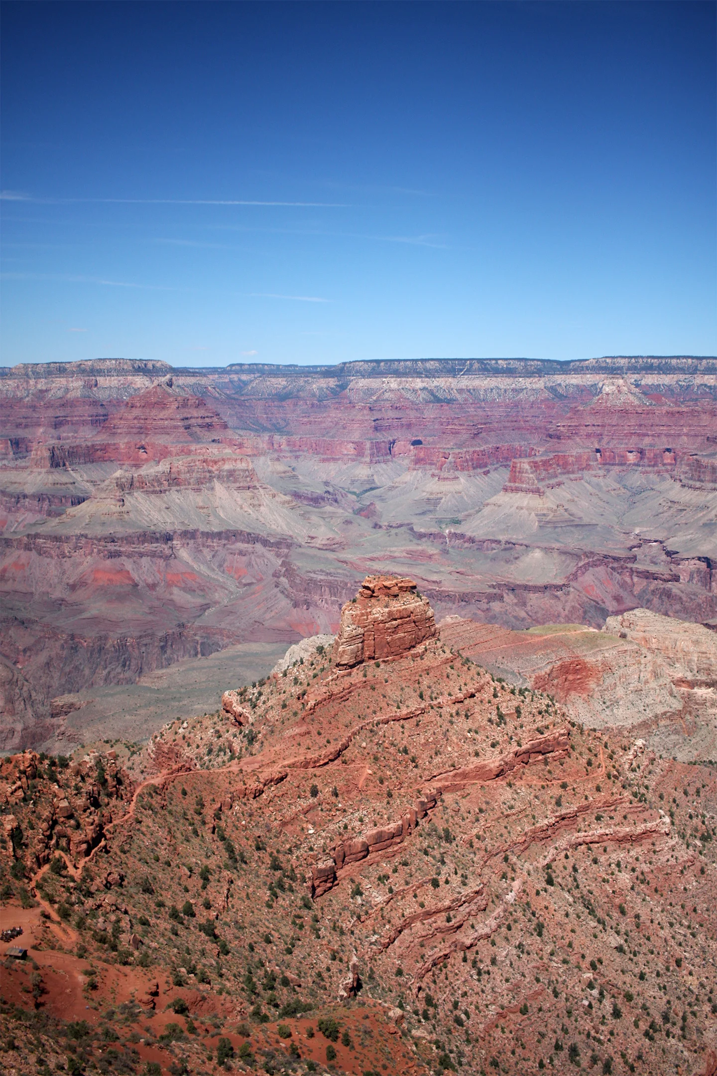 IMG_6895_edit_flat.jpg