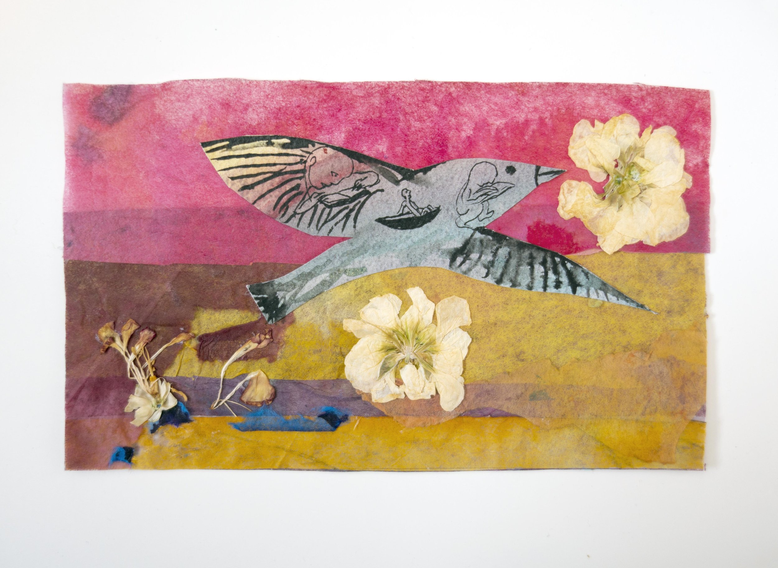 etudie dans l'oiseau.jpg