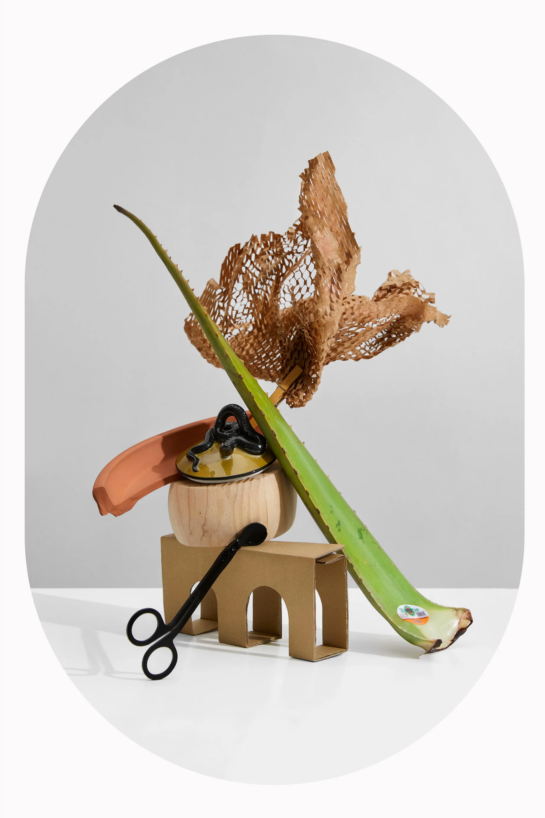 200820-StackedCreative01-Aloe-Curve.jpg